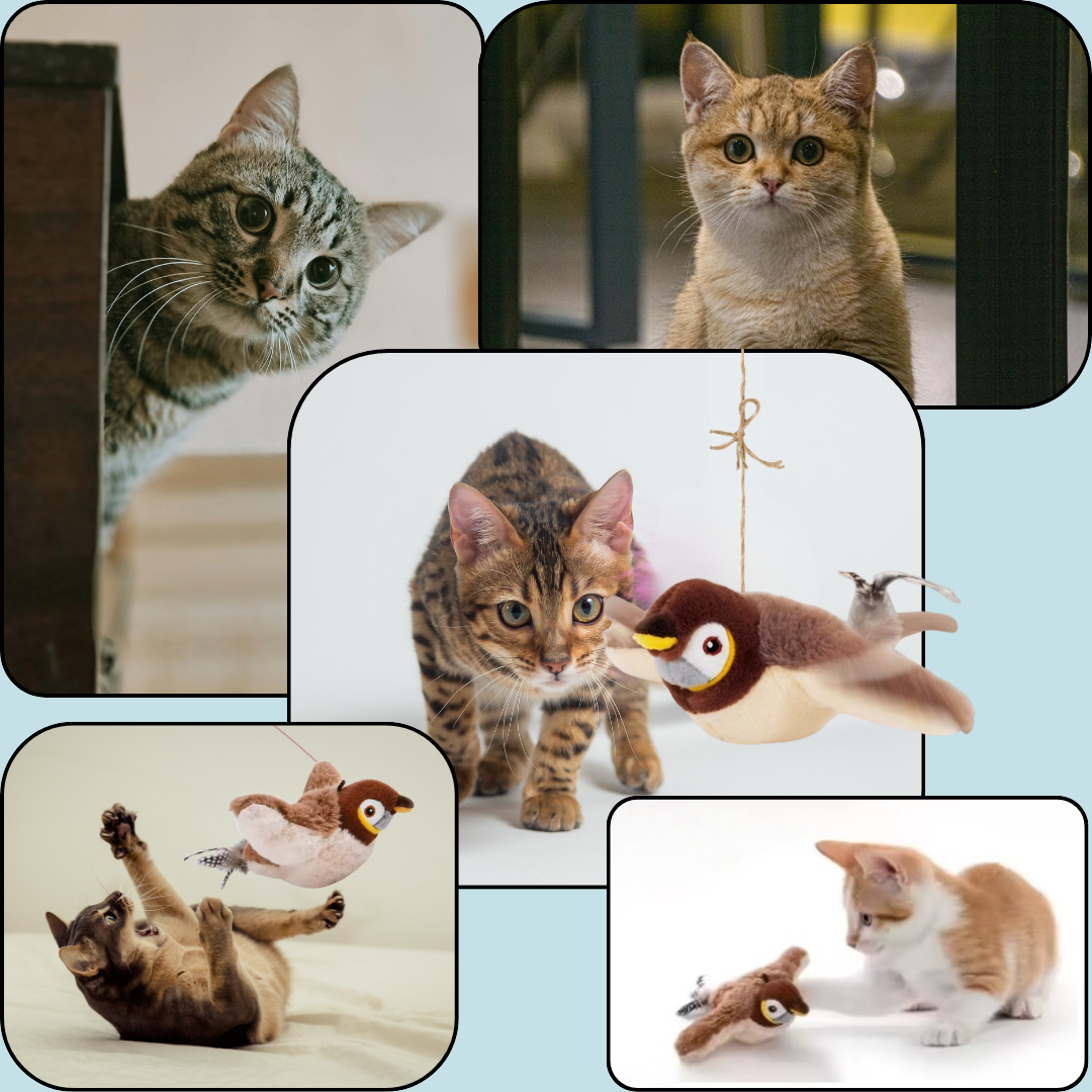 ZoizoMinou - CiEli Emporium